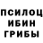 Псилоцибиновые грибы GOLDEN TEACHER Timur Musagaliev