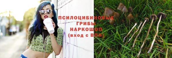 MDMA Богданович